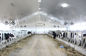 Impression à haute brillance 5mm - les panneaux de plafond de PVC de 10mm pour la ferme CE murent/toits