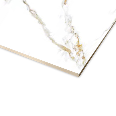 Anti panneau corrosif de Wpc pour la décoration 1.22mx2.8m de mur de Chambre